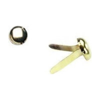 WONDAY - Attaches Parisiennes Dorées Laitonnées