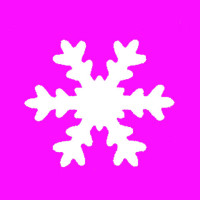EFCO - Perforatrice m - Flocon de Neige - 25 X 21 mm