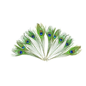 EFCO - Plumes de Paon - 200 - 300 mm - 5 Pièces