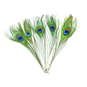 EFCO - Plumes de Paon - 200 - 300 mm - 5 Pièces