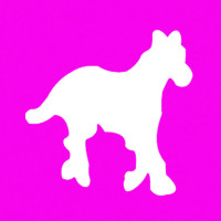 EFCO - Perforatrice m - Cheval - 22 X 21 mm