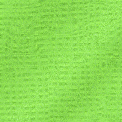 EFCO - Papier Scrap My Colors - Pailletté 25505 - 30,6 X 30,6 cm / 12 X 12 Inch - 216 g / M² - Willow Green