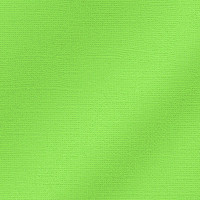 EFCO - Papier Scrap My Colors - Pailletté 25505 - 30,6 X 30,6 cm / 12 X 12 Inch - 216 g / M² - Willow Green