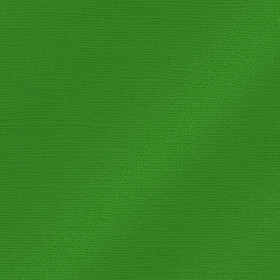 EFCO - Papier Scrap My Colors - Pailletté 25506 - 30,6 X 30,6 cm / 12 X 12 Inch - 216 g / M² - Fern