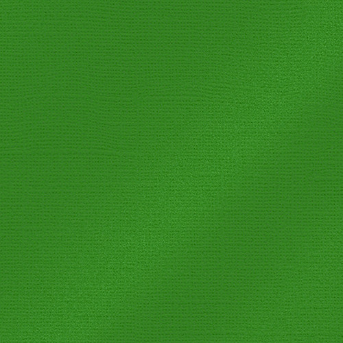 EFCO - Papier Scrap My Colors - Pailletté 25506 - 30,6 X 30,6 cm / 12 X 12 Inch - 216 g / M² - Fern