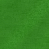 EFCO - Papier Scrap My Colors - Pailletté 25506 - 30,6 X 30,6 cm / 12 X 12 Inch - 216 g / M² - Fern