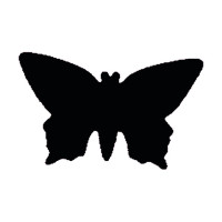 EFCO - Perforatrice L - Papillon - 35 X 21 mm