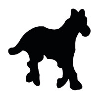 EFCO - Perforatrice M - Cheval - 22 X 21 mm