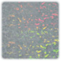 PENTART - Foils Holographiques - 14x14 cm
