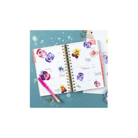 SILHOUETTE - Papier Adhesif Transparent Imprimable - A4 - 8 Feuilles