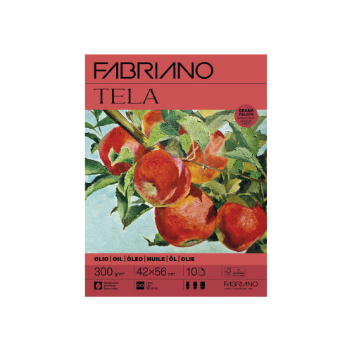 FABRIANO - Feuille Papier Toilé Tela - 50x70 cm - 300 g/m²