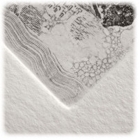 FABRIANO - Unica White Printmaking Sheet - 50x70 cm - 250 gsm