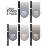 Chameleon Pens - Pack de 5 Couleurs - Tons Gris