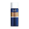 Lefranc & Bourgeois - Retouching Varnish in Aerosol - Surfin - Matt-Satin - 400ml