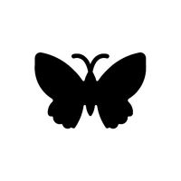 ARTEMIO - Flying Punch - Butterfly