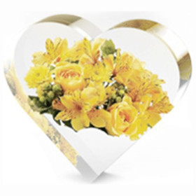 RESIN-PRO - Moule Silicone - Coeur - 19,5x16,5cm