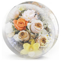 RESIN-PRO - Silicone Mold - Grande Forme - Cercle / Rond - 20CM