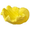 JESMONITE - Moule en Silicone - Pearl Oyster Coquillage - 13,3x13x6,7cm