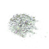 JESMONITE - Sparkling Glitter - Silver - 15g
