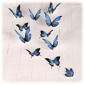 GRAINE CREATIVE - Plastique Dingue - 30 Feuilles - Blanc (Collectivité)