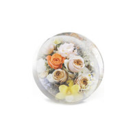 RESIN-PRO - Moule en Silicone - Grande Forme - Cercle / Rond - 20CM