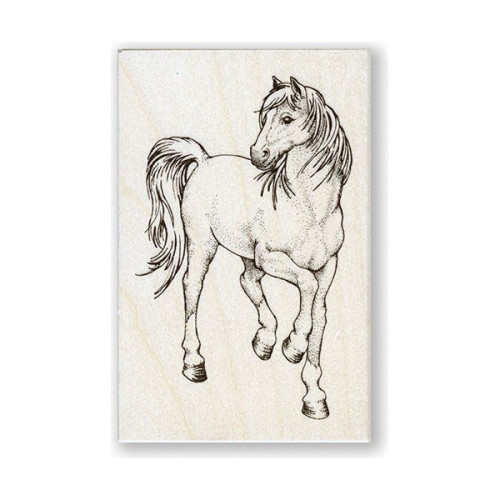 ARTEMIO - Tampon Bois - Cheval