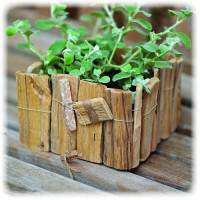 ARTEMIO - Driftwood - 500GR - Pads