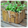 ARTEMIO - Driftwood - 500GR - Pads