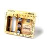 Winsor & Newton - Complete Calligraphy Set