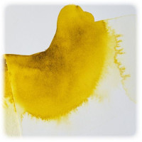 Winsor & Newton - Ox Gall Liquid - 75ml