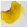 Winsor & Newton - Fiel de Boeuf Liquide - 75ml
