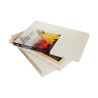 Phoenix - ARTIST CANVAS - ARTISTS' - Polyester & Cotton Mixed - Medium Grain - 360 gsm