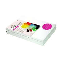 Phoenix - ARTIST CANVAS - "VALUE COTTON" - 100% Cotton - Medium Grain - 300 gsm