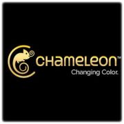 Chameleon Art